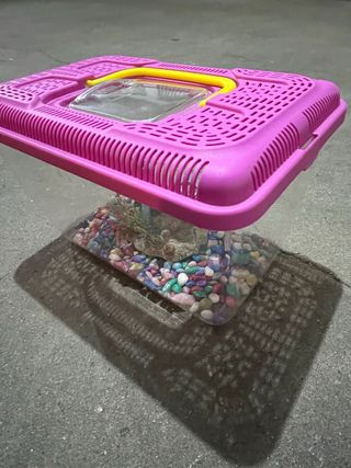 Pecera pequeña con accesorios