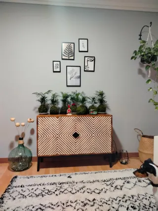 Kokedama Chamaedorea Elegans.