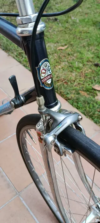 Bicicleta Classica Pinarello Asolo