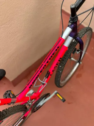 Bicicleta Jumpertrek Laser TY20