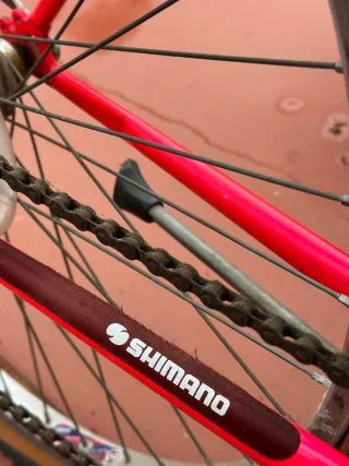 Bicicleta Jumpertrek Laser TY20