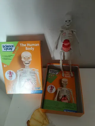 Clementoni The Human Body Lab 8+