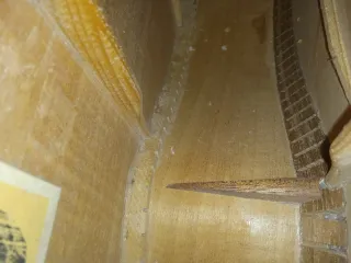 Guitarra Clásica Juan Alvarez