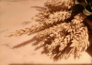 Composizione fiori secchi