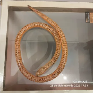 Serpiente articulada de madera