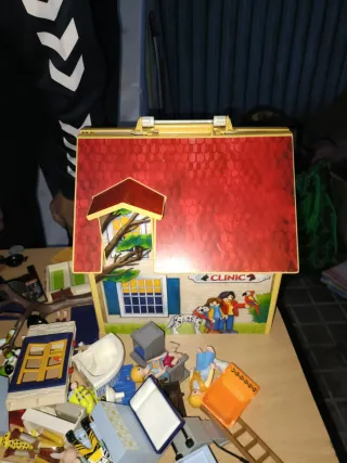 Barco Vikingo Granja Clínica Veterinaria