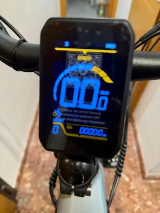 Bicicleta Eléctrica Gris