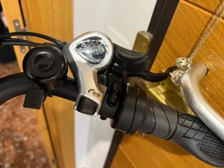 Bicicleta Eléctrica Gris