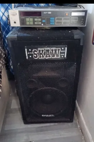 Altavoz SKAW 2-Way altavoz y amplificador