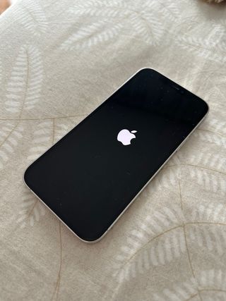 iPhone 12 Pro 256GB Plata