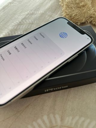 iPhone 12 Pro 256GB Plata