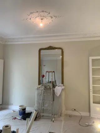 ALBAÑIL, PROFESIONAL EN APLICACIÓN DE PINTURA