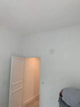 ALBAÑIL, PROFESIONAL EN APLICACIÓN DE PINTURA