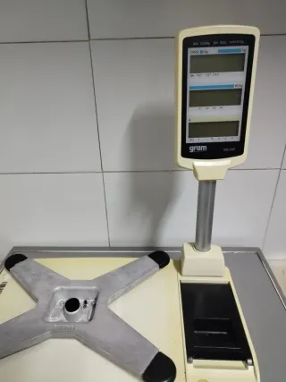 Balanza digital GRAM MS-33P con impresora