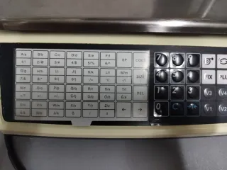 Balanza digital GRAM MS-33P con impresora