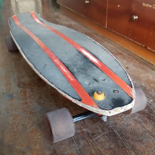 Skate Longboard Fish Santa Cruz Hera Road Rider
