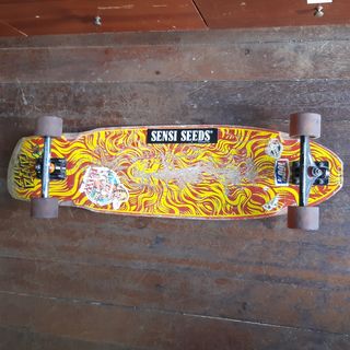 Skate Longboard Fish Santa Cruz Hera Road Rider
