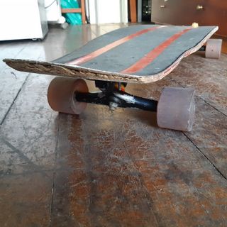 Skate Longboard Fish Santa Cruz Hera Road Rider