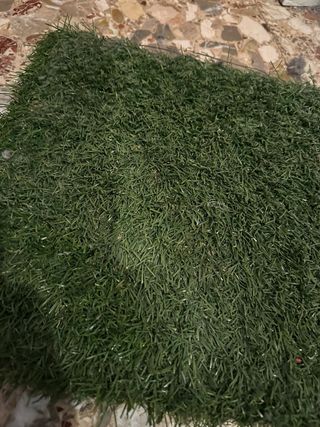 Baldosas Césped Artificial