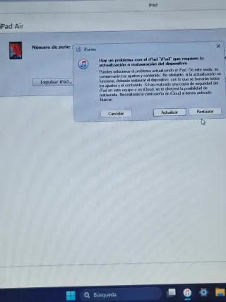 iPad Air 1ª Gen A1474 Plata (9,7 Pulgadas)