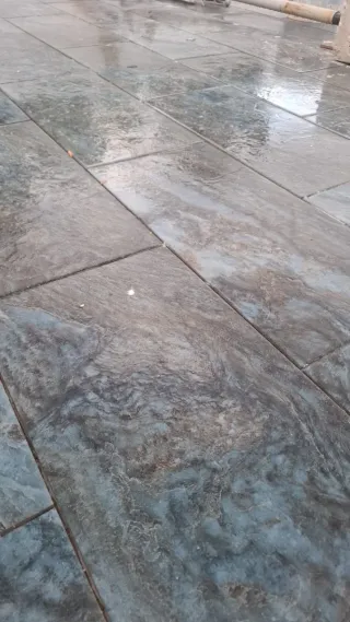 Alquiler de piso amueblado en planta baja.