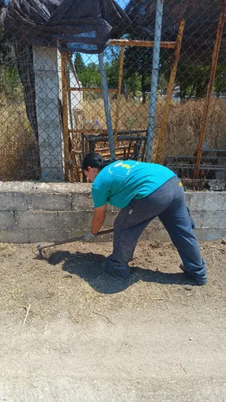 Servicios de Jardinería y Mantenimiento