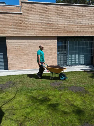 Servicios de Jardinería y Mantenimiento