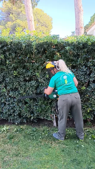 Servicios de Jardinería y Mantenimiento