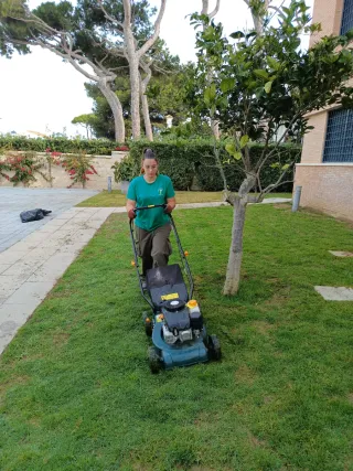 Servicios de Jardinería y Mantenimiento