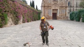 Servicios de Jardinería y Mantenimiento