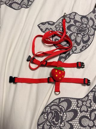 Transportín para animales pequeños