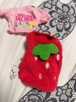 Transportín para animales pequeños