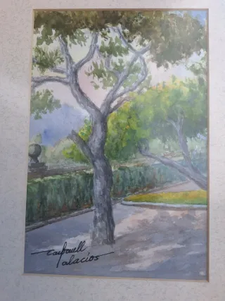 Cuadro acuarela Carbonell Palacios