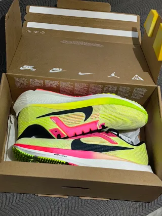 Nike Air Zoom Pegasus 40 PRM (Talla 44)