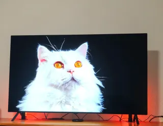 TV LG OLED55B46LA.AEU