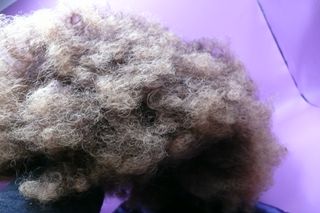 Peruca castanha curta com saco