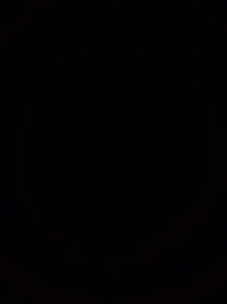 Bota de Snowboard Negra