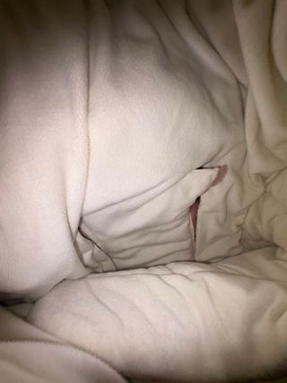 Saco polar silla Jane