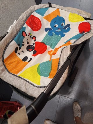 Gimnasio Bebé Musical Baby Einstein