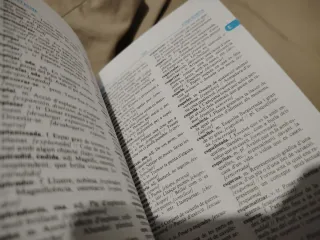 Diccionari il·lustrat valencià-castellà, castel...