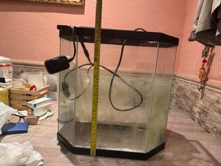 2 acuarios/gambarios completos.