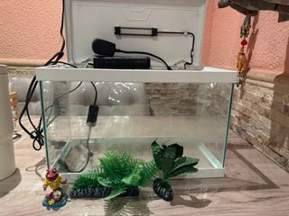 2 acuarios/gambarios completos.