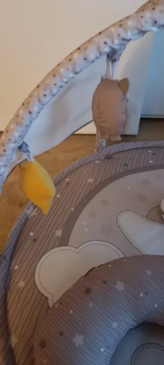 Gimnasio Bebé Chicco Enjoy Colours 3en1