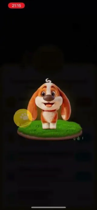 Casa dei cuccioli SHEIN