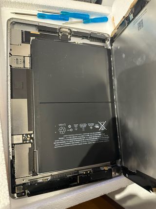 iPad Air 2 A1567 Plata