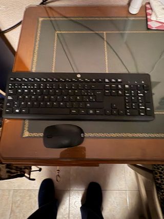 Teclado y Ratón HP Negro HP 230 inalámbrico
