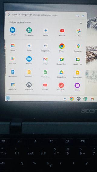 Acer Chromebook C733 Negro