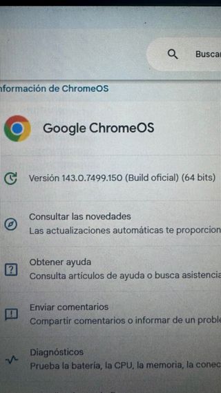 Acer Chromebook C733 Negro