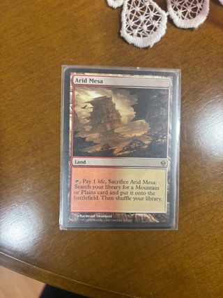 Arid Mesa MTG Carta