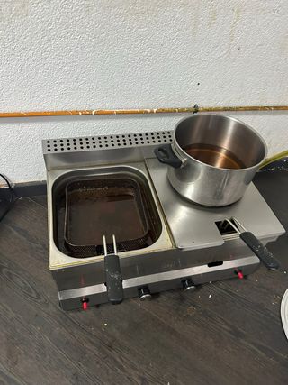 Freidora industrial doble a gas